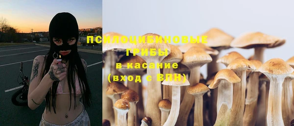 мяу мяу мука Армянск