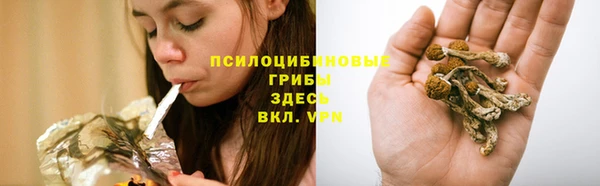 мяу мяу мука Армянск