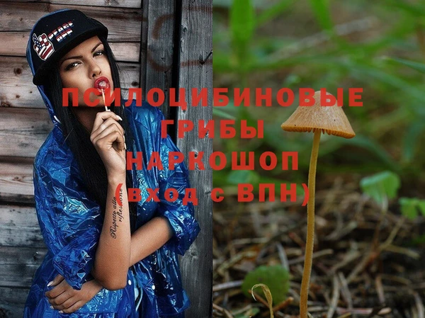 мяу мяу мука Армянск